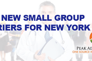 2017 New Small Group Health Carriers NY